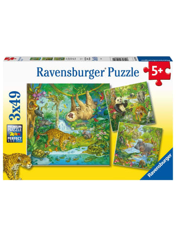 Ravensburger Ravensburger Kinderpuzzle 05180 - Im Urwald - 3x49 Teile Puzzle für Kinder ab...