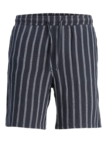 JACK & JONES PLUS Shorts in Sky Captain