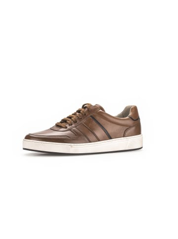 Pius Gabor Sneaker low in braun