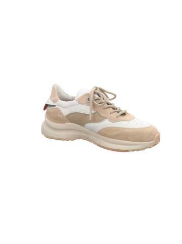 LLOYD Sneaker in beige
