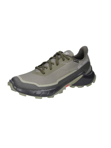 SALOMON Wanderschuhe in grün