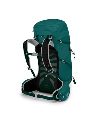 Osprey Tempest 30 Women XS/S - Wanderrucksack 61 cm in jasper green