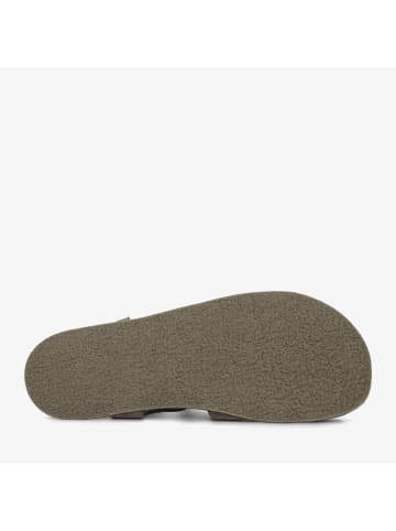 Groundies in grün