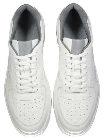 Roy Robson Sneaker mit kontrastfarbenen Details in GRAU