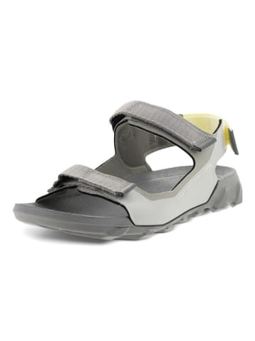 Ecco Outdoorschuh in grau