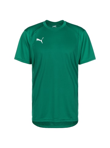 Puma Fußballtrikot Liga Training in grün / weiß