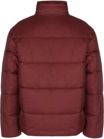 Tommy Hilfiger Puffer-Jacken in deep rouge