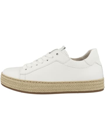 Gabor Sneaker low 83.270 in weiss