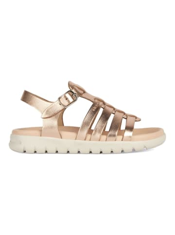 Geox Sandalen Copper