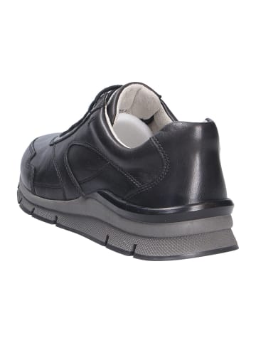 Pius Gabor Sneaker in schwarz