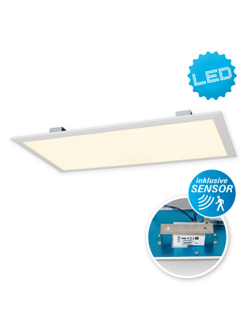 näve LED-Sensor-Panel "Alegre" incl. Halterung (L) 59,5 cm in Warmweiß