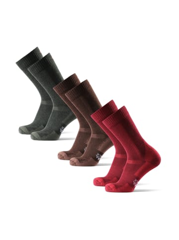 DANISH ENDURANCE Socken Classic Hiking Crew in Multicolor