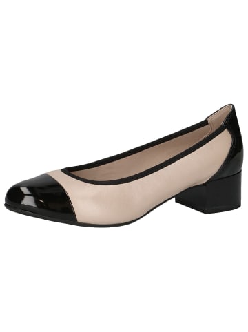 Caprice Pumps in BEIGE COMB