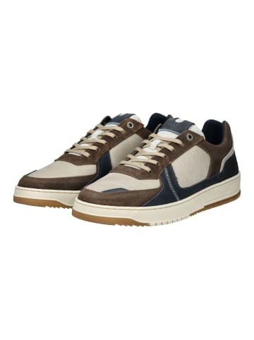 Bullboxer Sneaker Grau/Braun