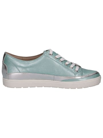 Caprice Sneaker in TURQUOISE NAPL