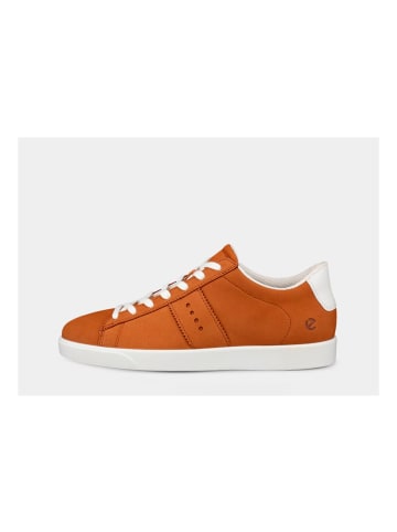 Ecco Sneaker Street in Braun