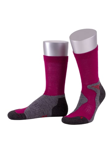 JD J. Dirks Outdoor-Funktions-Wollsocken OD40 in pink (28)