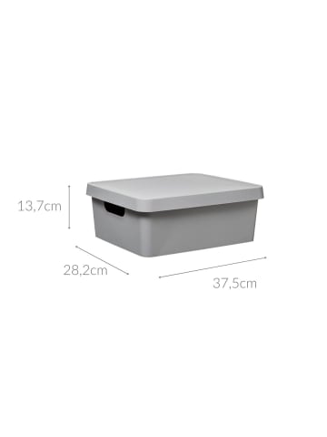 5five Simply Smart Aufbewahrungsbehälter mit Deckel, 11 L in Grau, 37,2 x 13,7 x 28,2 cm