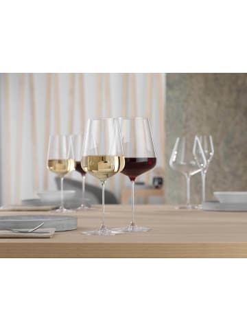 Spiegelau 2er Set Burgundergläser + Poliertuch Definition 960 ml in transparent
