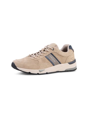 Camel Active Sneaker Low mit Innenzipper in Beige