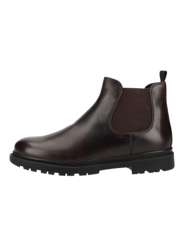 Geox Stiefelette ANDALO A - VIT.INGR. Coffee