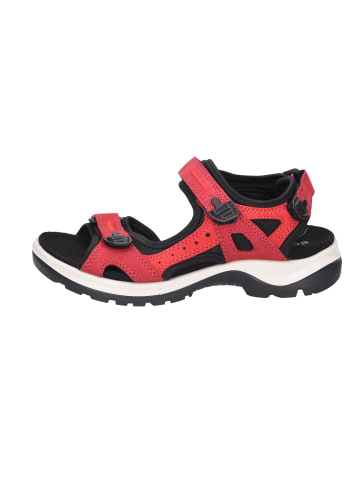 Ecco Sandalette in rot