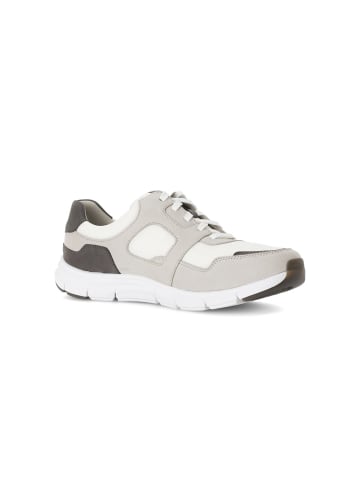 Gabor Sneaker low in grau