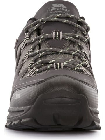 Trespass Wanderschuh "Finley Low Cut" in Grau