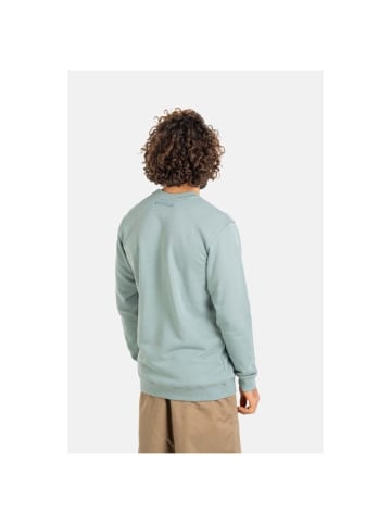 Reell Pullover "Staple Terry Crewneck CO" in Grün