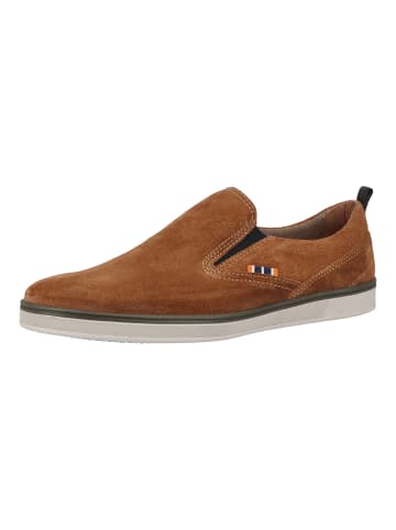 Fretz Men Sneaker in Wood