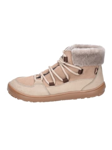 Froddo Stiefeletten/Boot in taupe