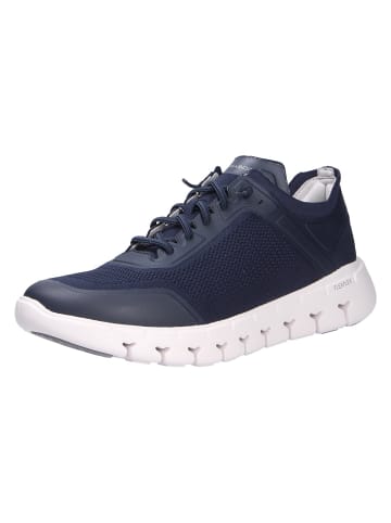 Pius Gabor Sneaker in blau