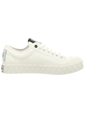 Palladium Sneaker Low in weiß