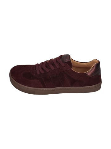 KOEL Sneaker Low HELENA SUEDE  in rot