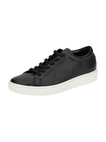 Ecco Sneaker Low in Schwarz