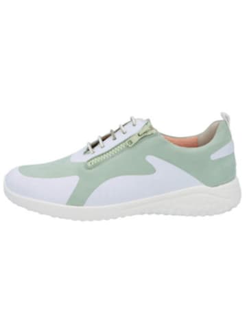 Solidus Sneaker für Damen in grün in grün
