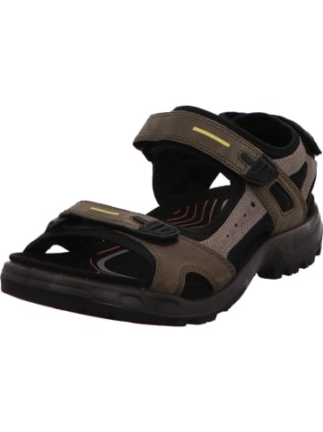 Ecco Sandalette in dunkelgrau