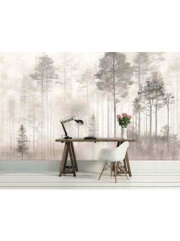 WALLARENA Fototapete Wald in Beige