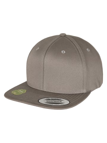  Flexfit Snapback in pale grey