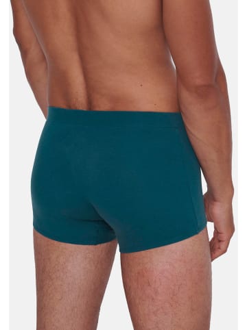 Sloggi Hipster Short / Pant men GO Natural in Grau / Türkis