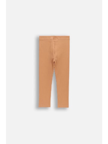 Coccodrillo Gerippte Leggings mit langem Bein in braun