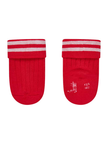 Sterntaler Baby Socken 2er-Pack Ringel in mittelrot