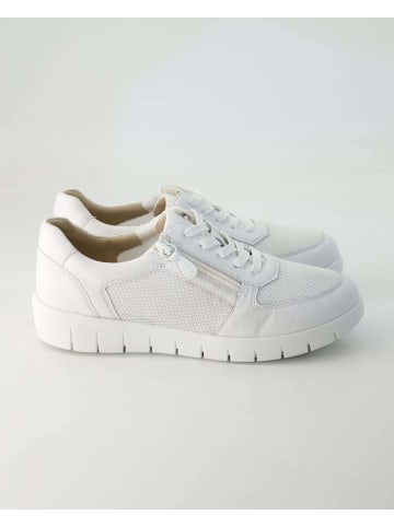 Terry Sportliche Schnürschuhe in Weiß