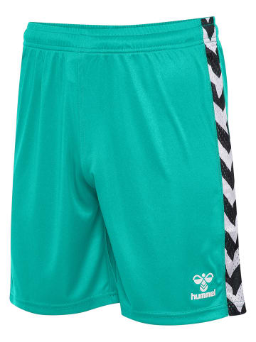 Hummel Kurze Hose Playful Shorts Erwachsene in ATLANTIS