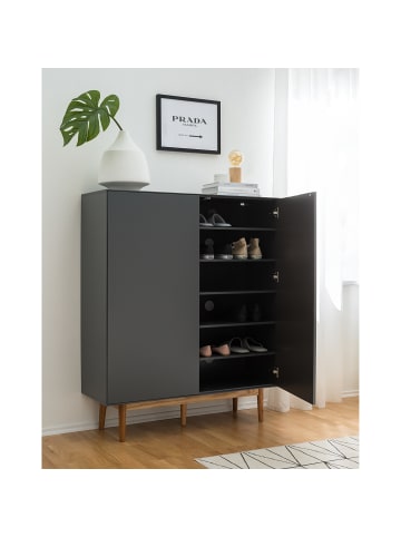 home24 Schuhkommode LINDHOLM 2 Türen in Grau