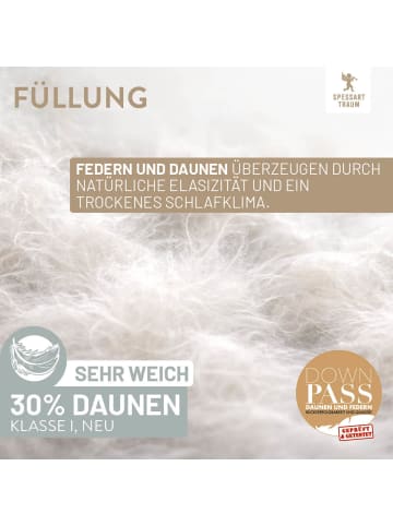 Spessarttraum Federn- und Daunenkissen "Silber"  in weiß