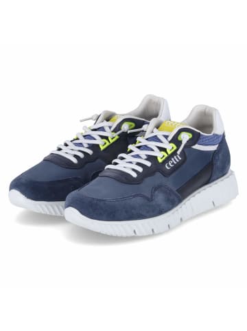 Cetti Low Sneaker in Blau