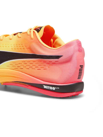 Puma Laufschuh "evoSPEED Long Distance Nitro Elite+" in Orange