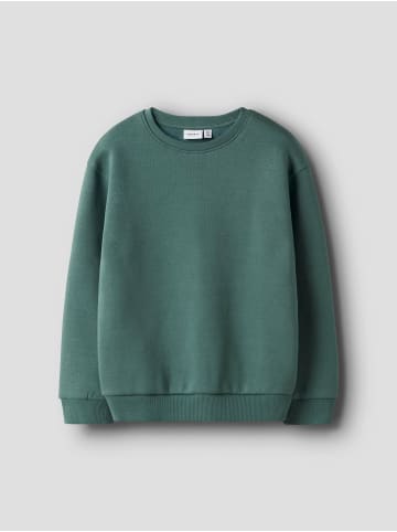 name it Sweatshirt in Sagebrush Green