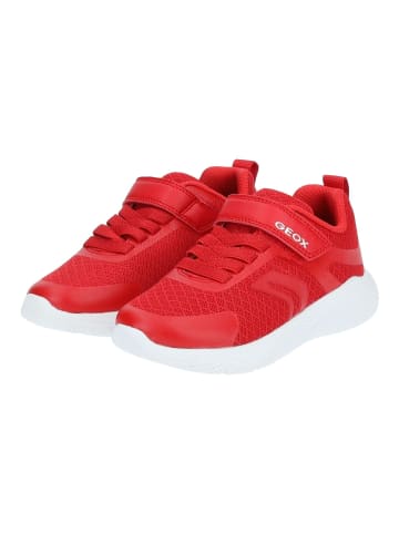 Geox Sneaker in Rot